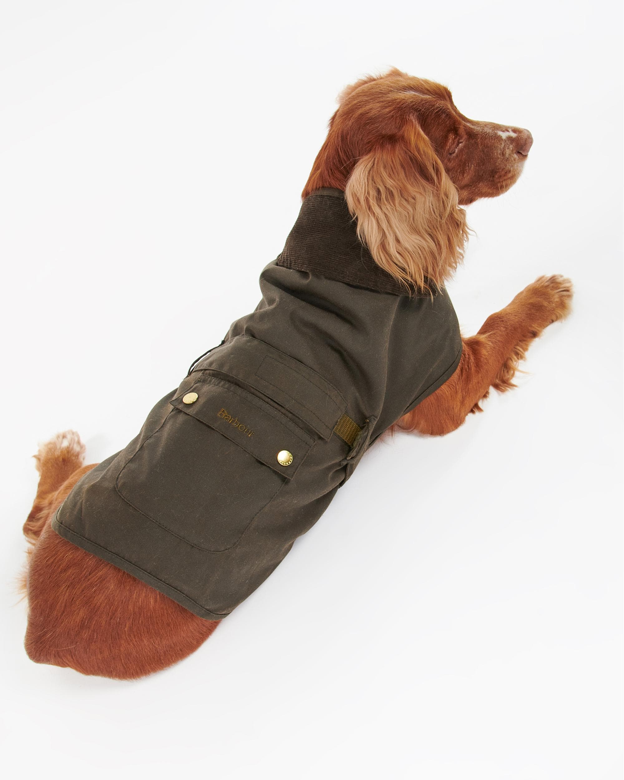 Barbour 2 in 1 Wax Dog Coat - Image 2