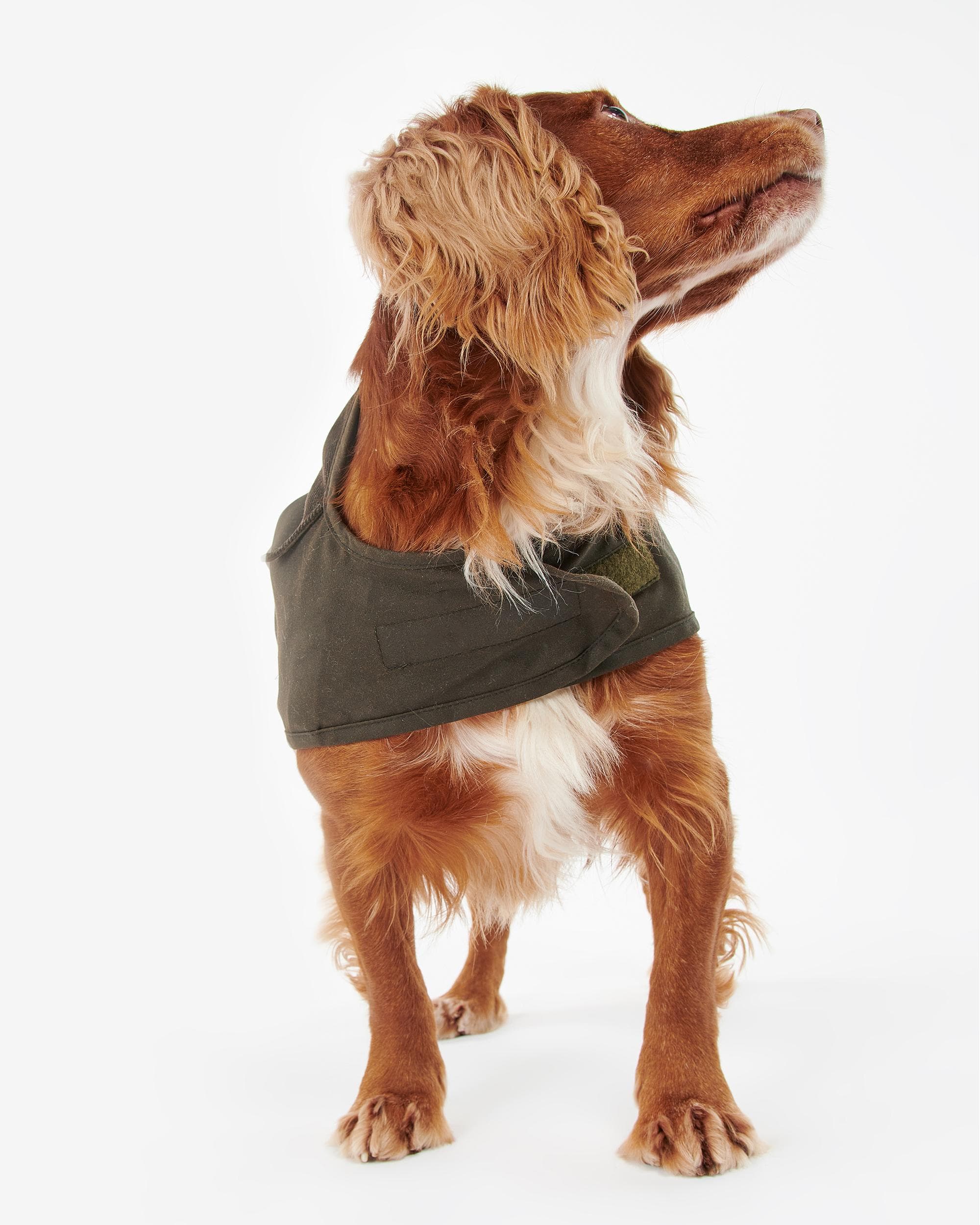Barbour 2 in 1 Wax Dog Coat - Image 3