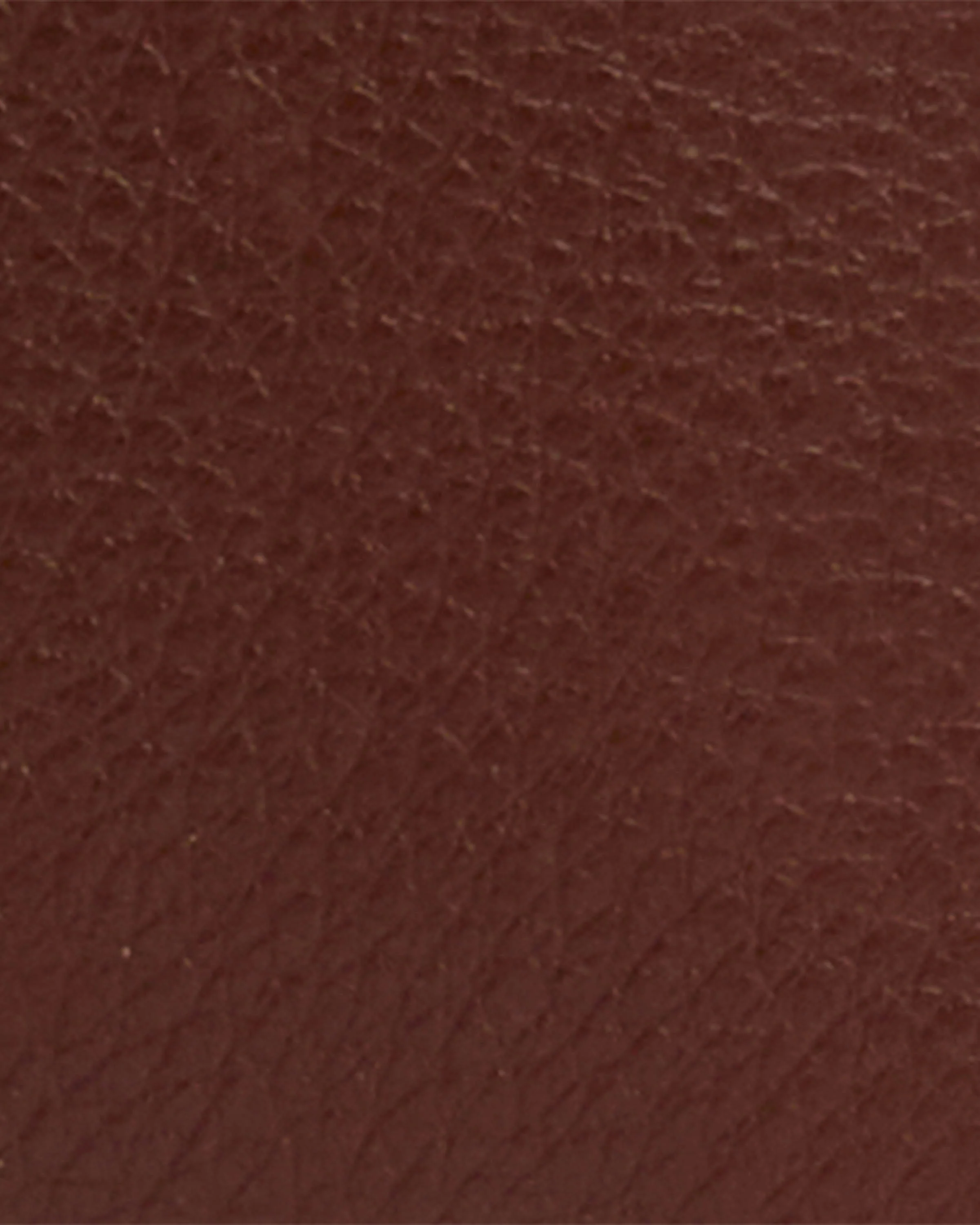 Barbour Alder Womens Leather Card Holder - Brown/Classic - Image 7