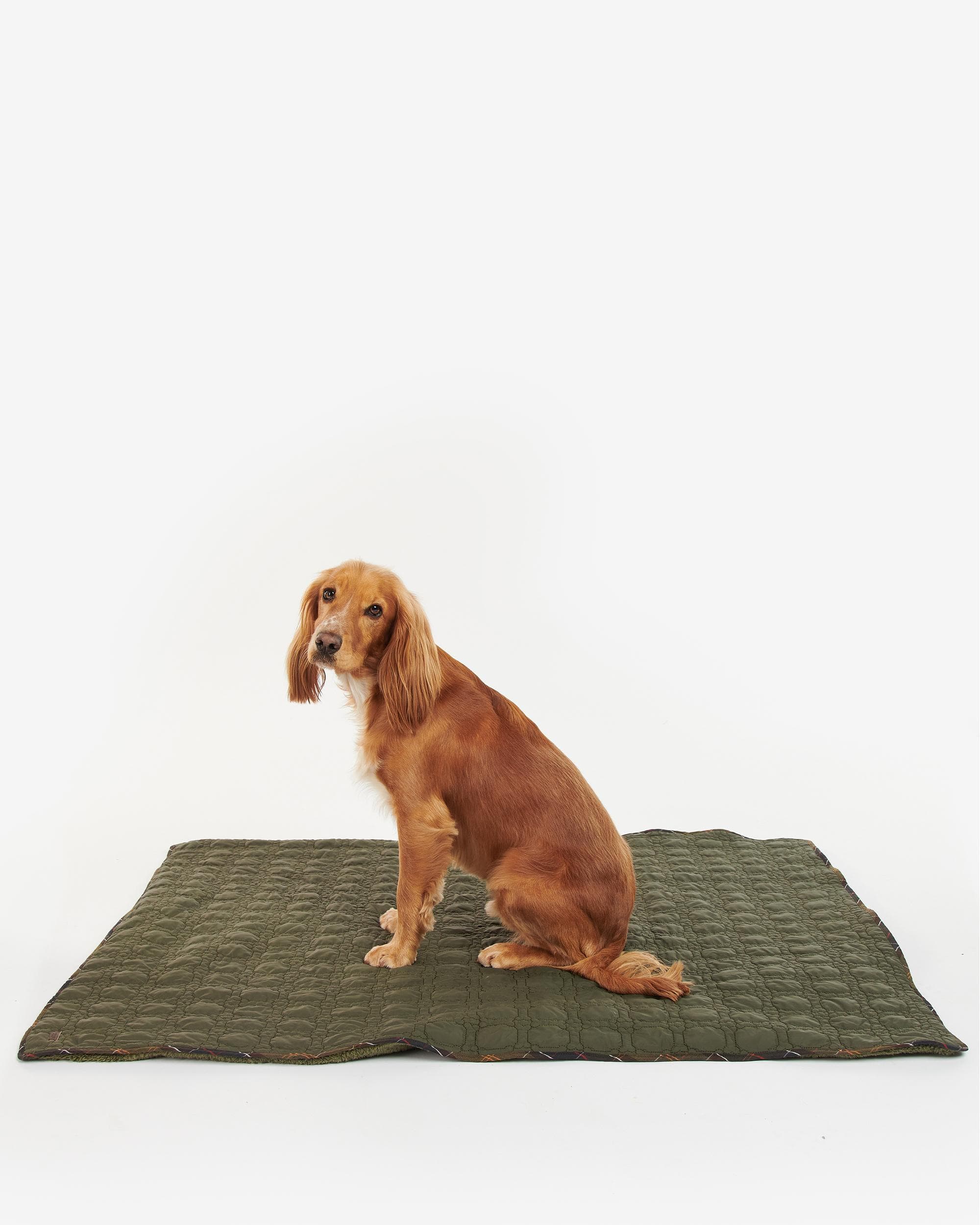 Barbour Dog Bone Quilted Blanket - Image 2