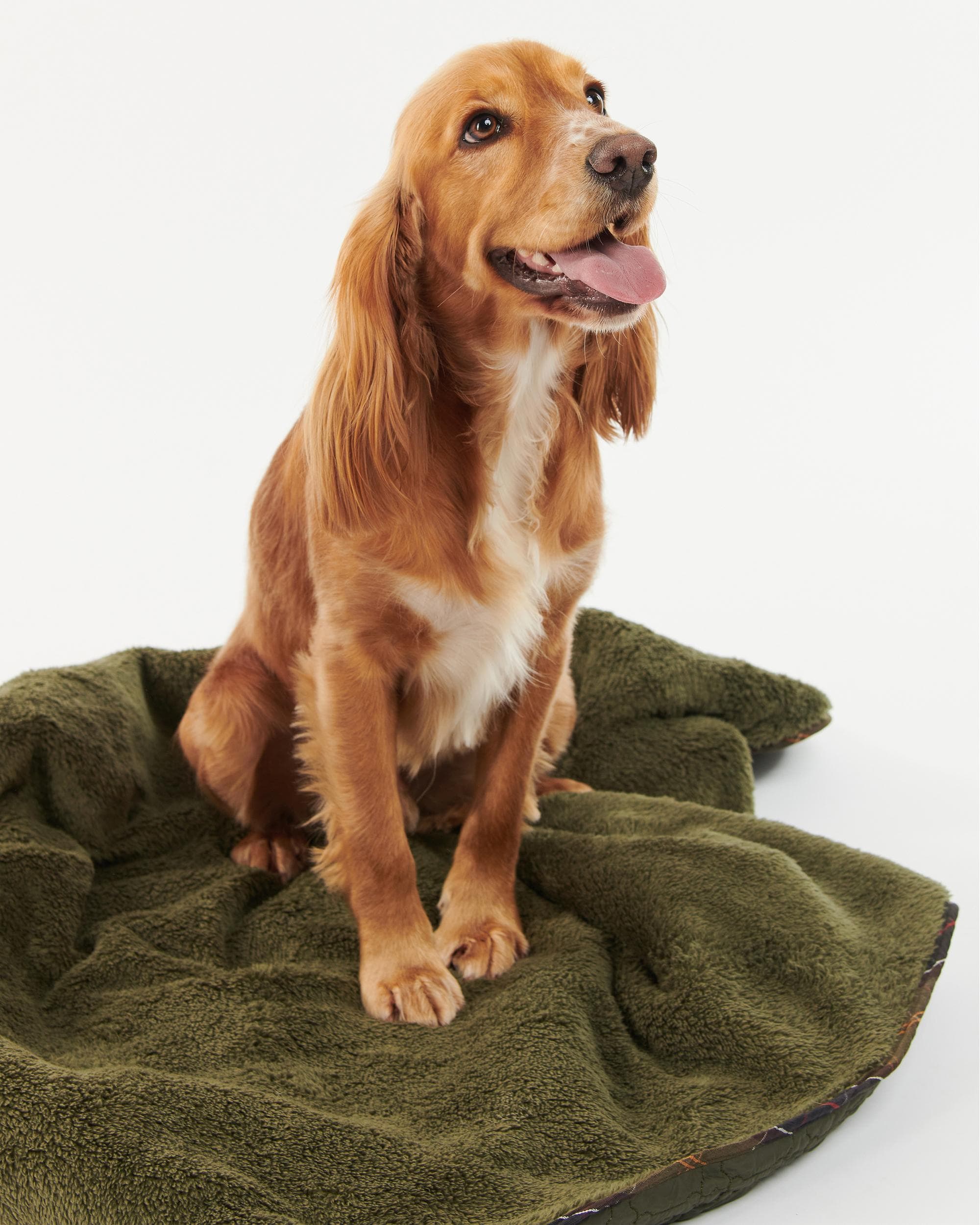 Barbour Dog Bone Quilted Blanket - Image 4