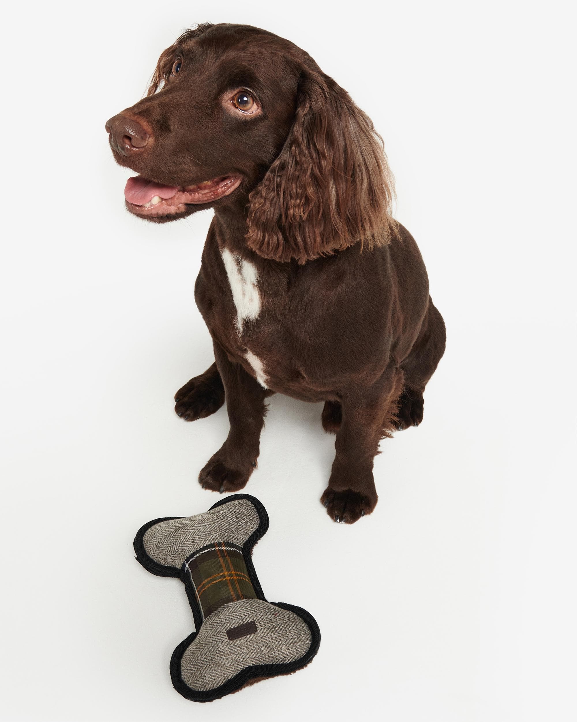 Barbour Dog Toy DAC0071 - Image 2