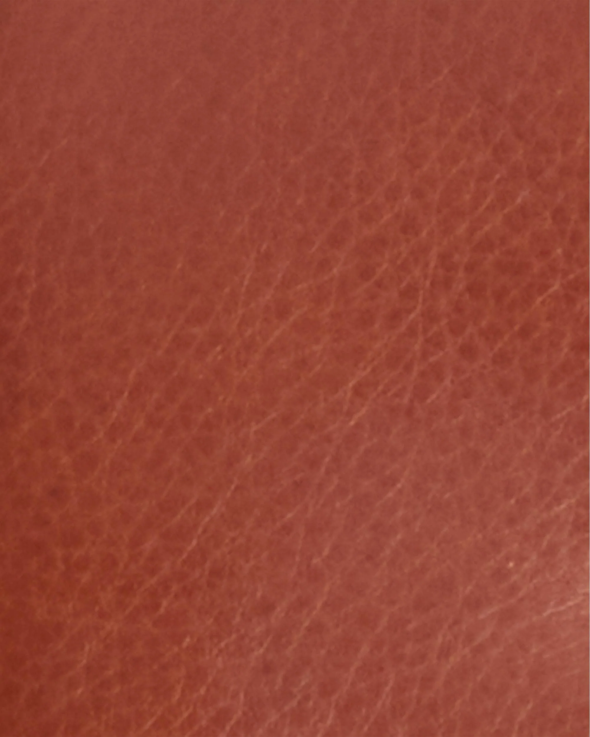 Barbour Laire Womens Leather French Purse - Image 5