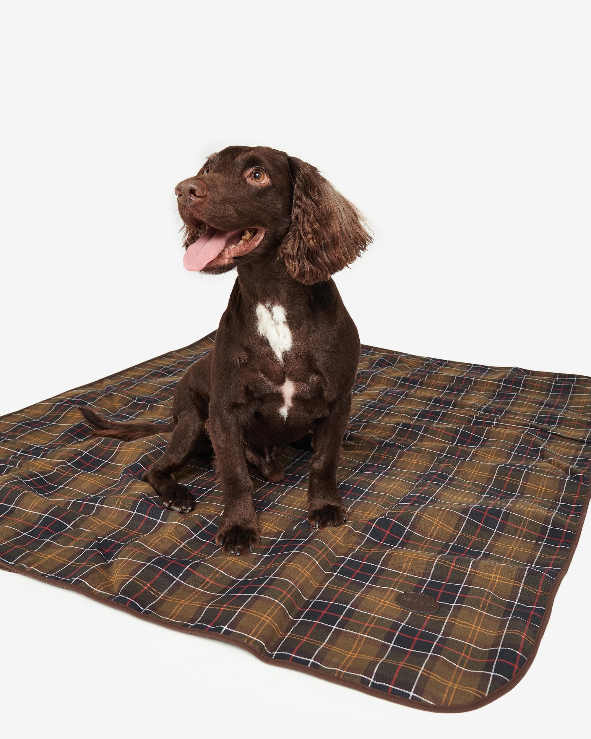 Barbour Large Dog Blanket DAC0023 - Image 2