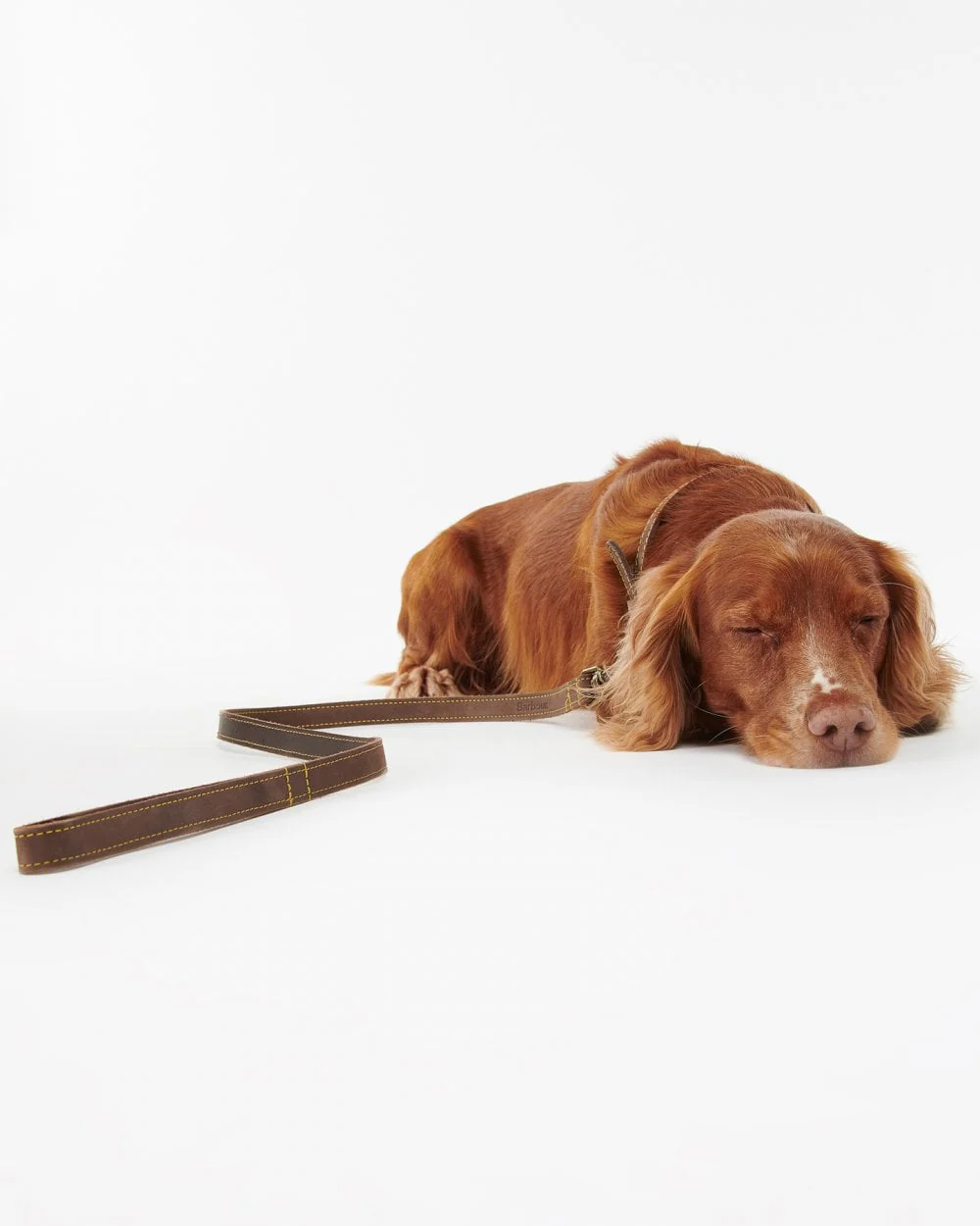 Barbour Leather Dog Lead - Brown - Image 2
