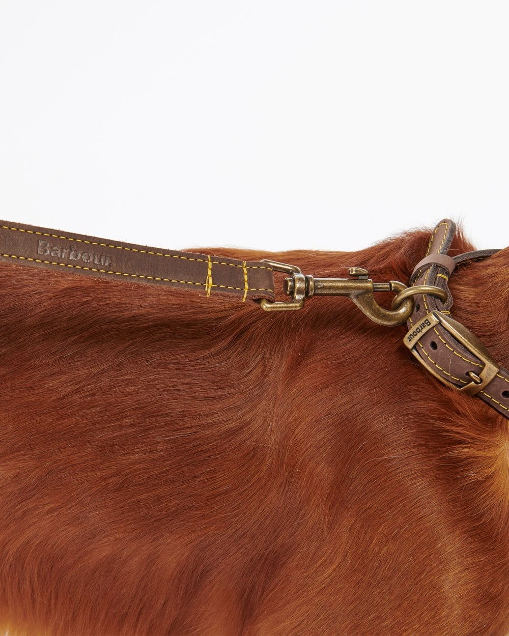 Barbour Leather Dog Lead - Brown - Image 3