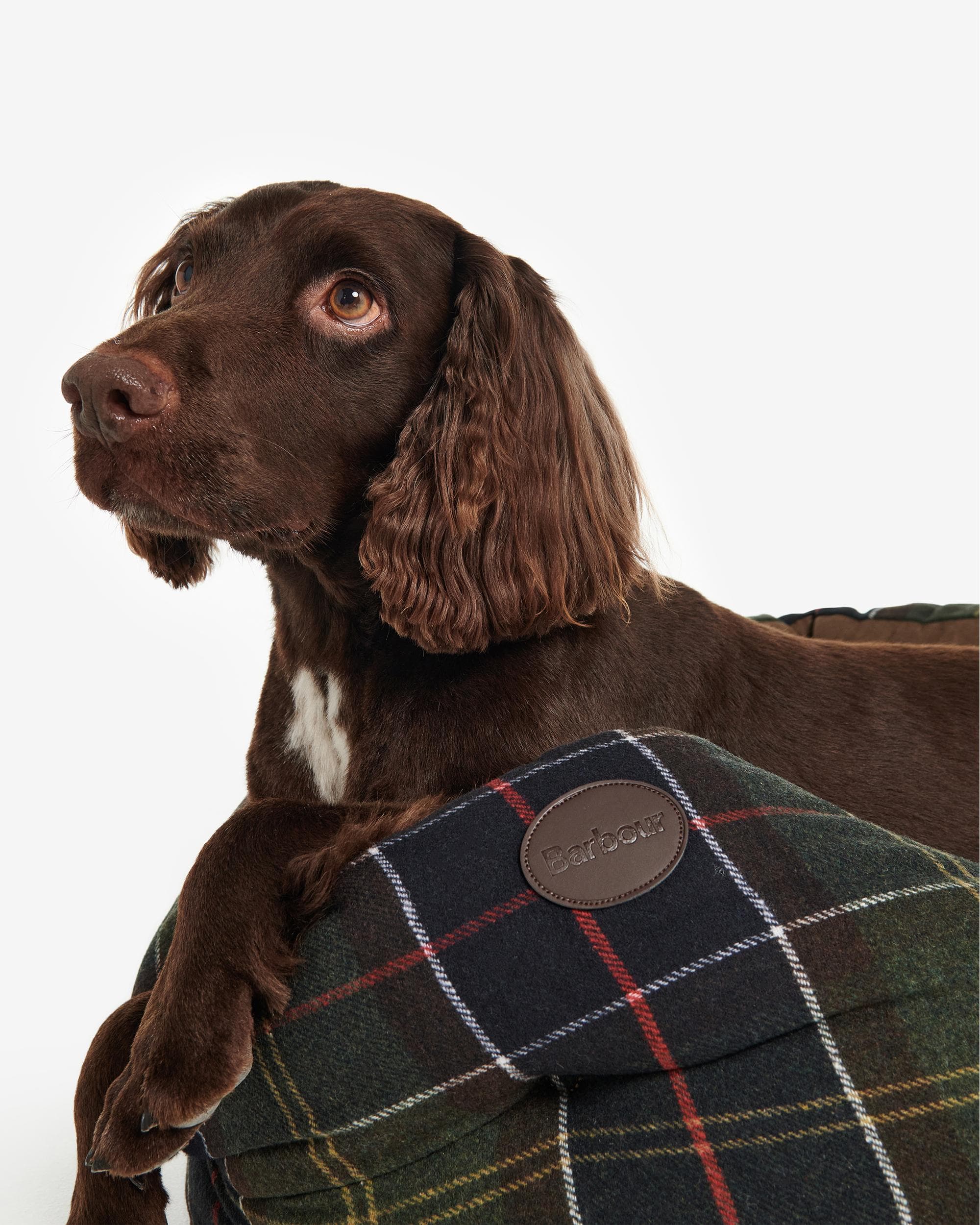 Barbour Luxury Dog Bed 30 Inches - Image 3