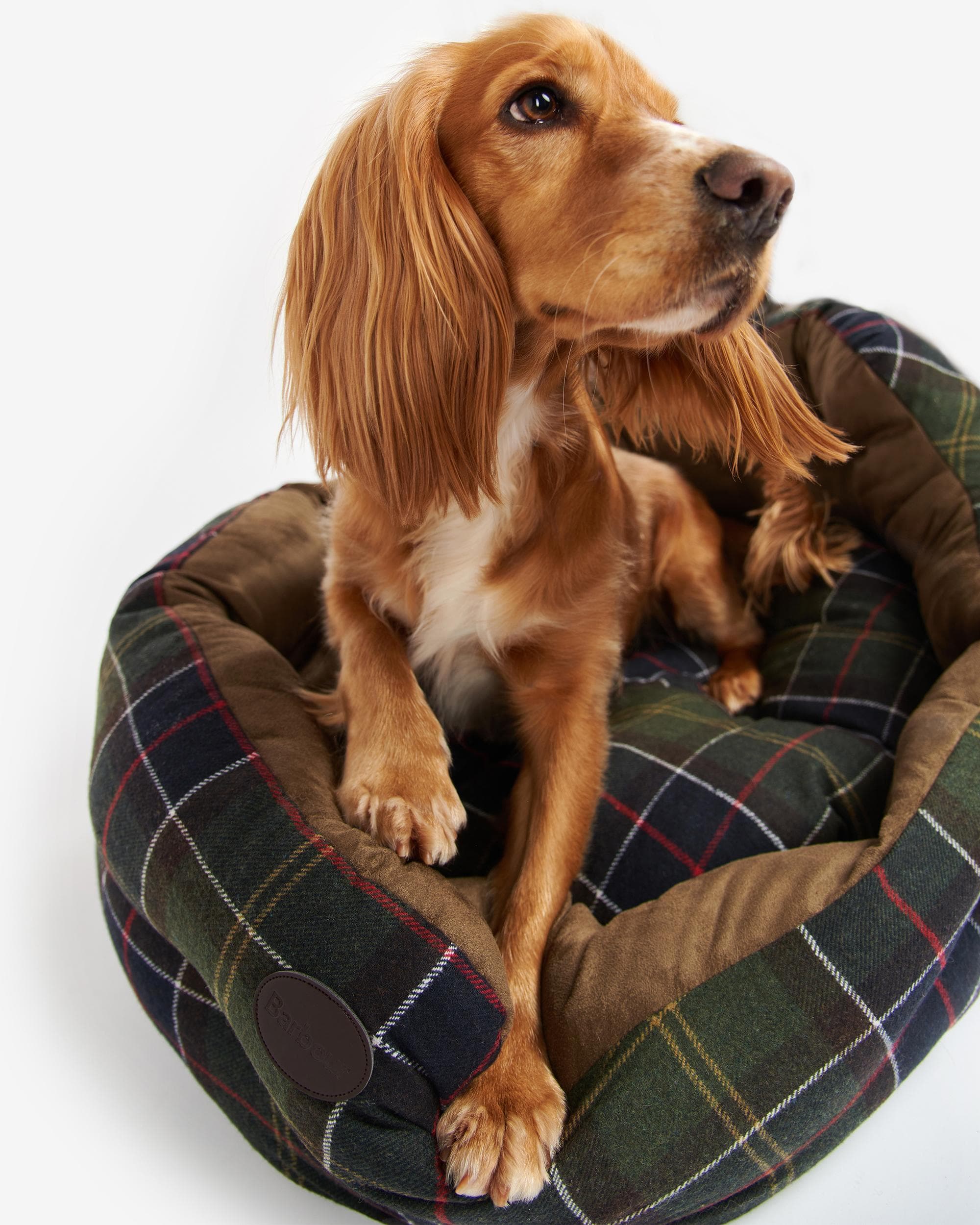Barbour Luxury Dog Bed 35 Inches - Image 2
