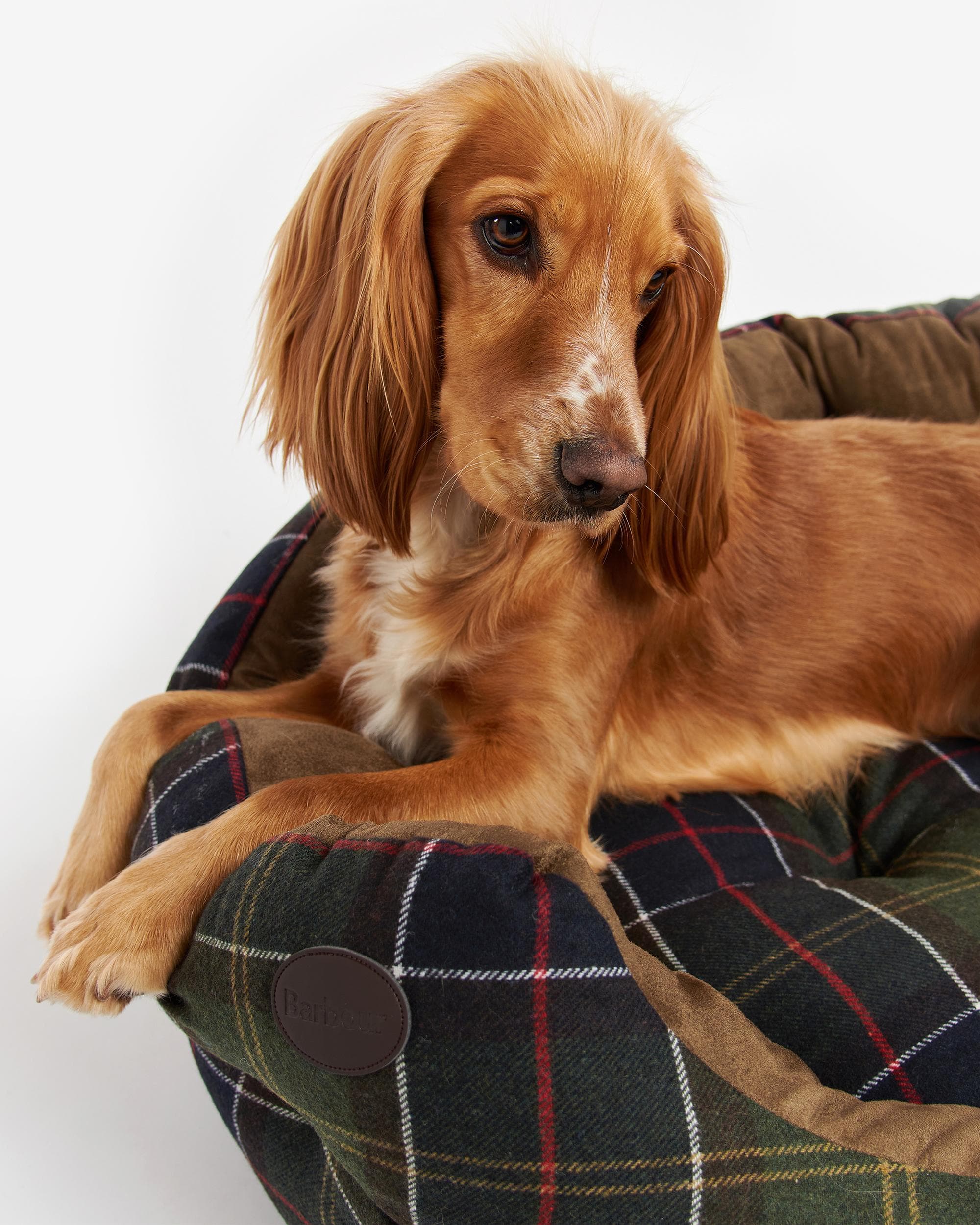 Barbour Luxury Dog Bed 35 Inches - Image 3