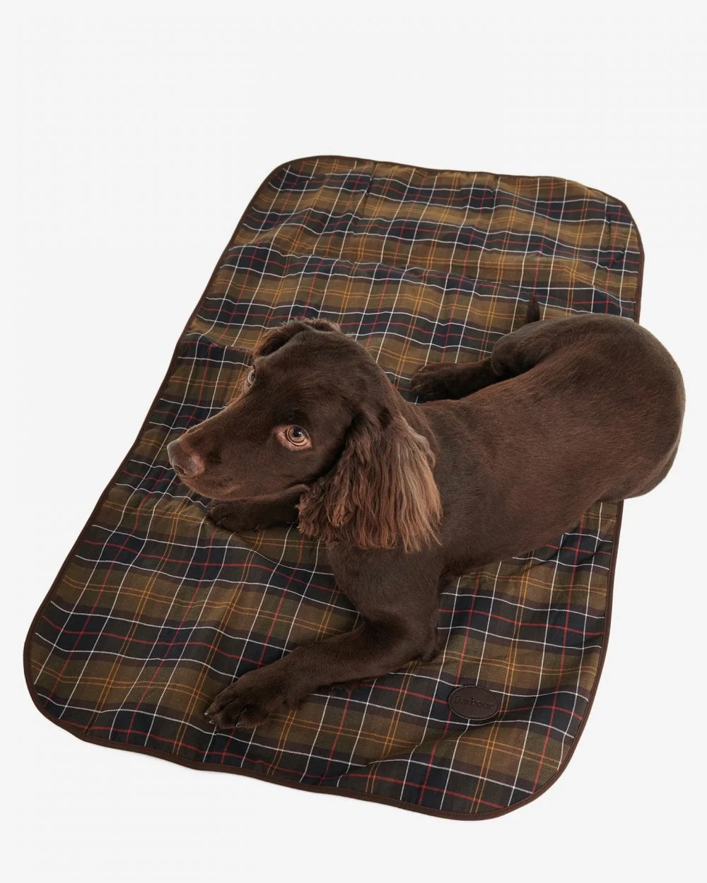 Barbour Medium Dog Blanket DAC0022 - Image 2