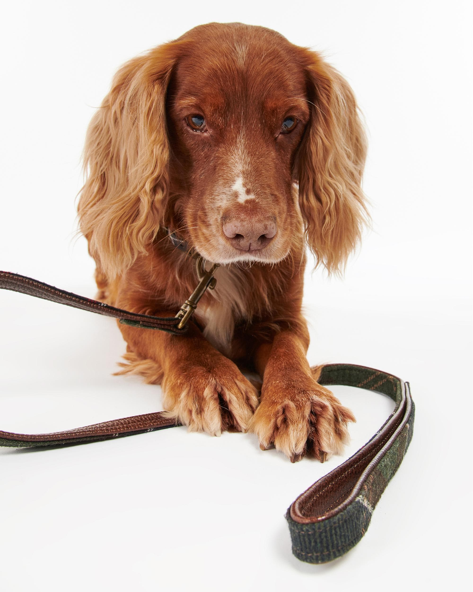 Barbour Tartan Dog Lead - Classic Tartan - Image 3