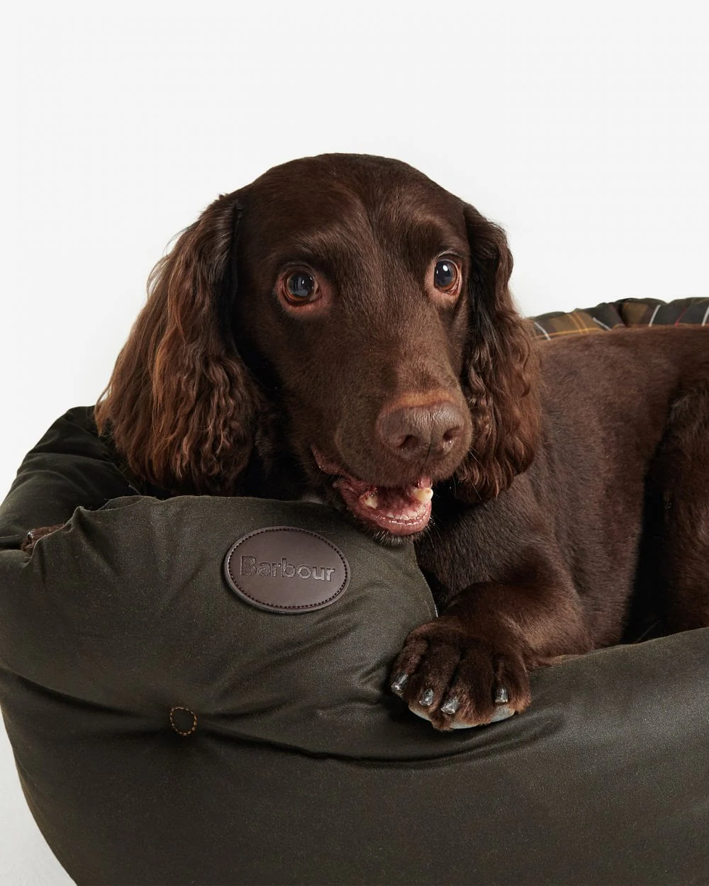 Barbour Wax/Cotton Dog Bed 30 inches - Image 2