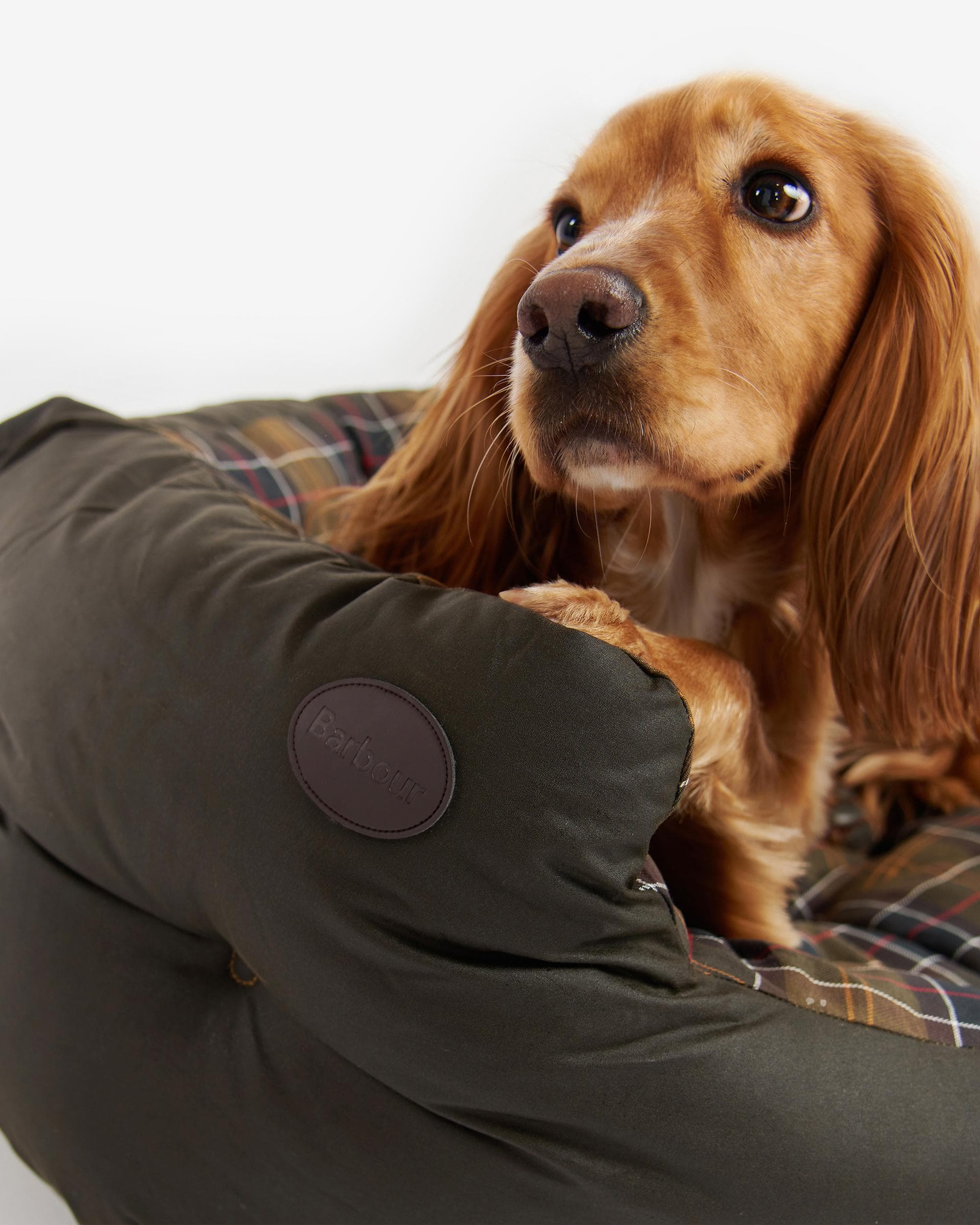 Barbour Wax/Cotton Dog Bed 35 Inches - Image 2