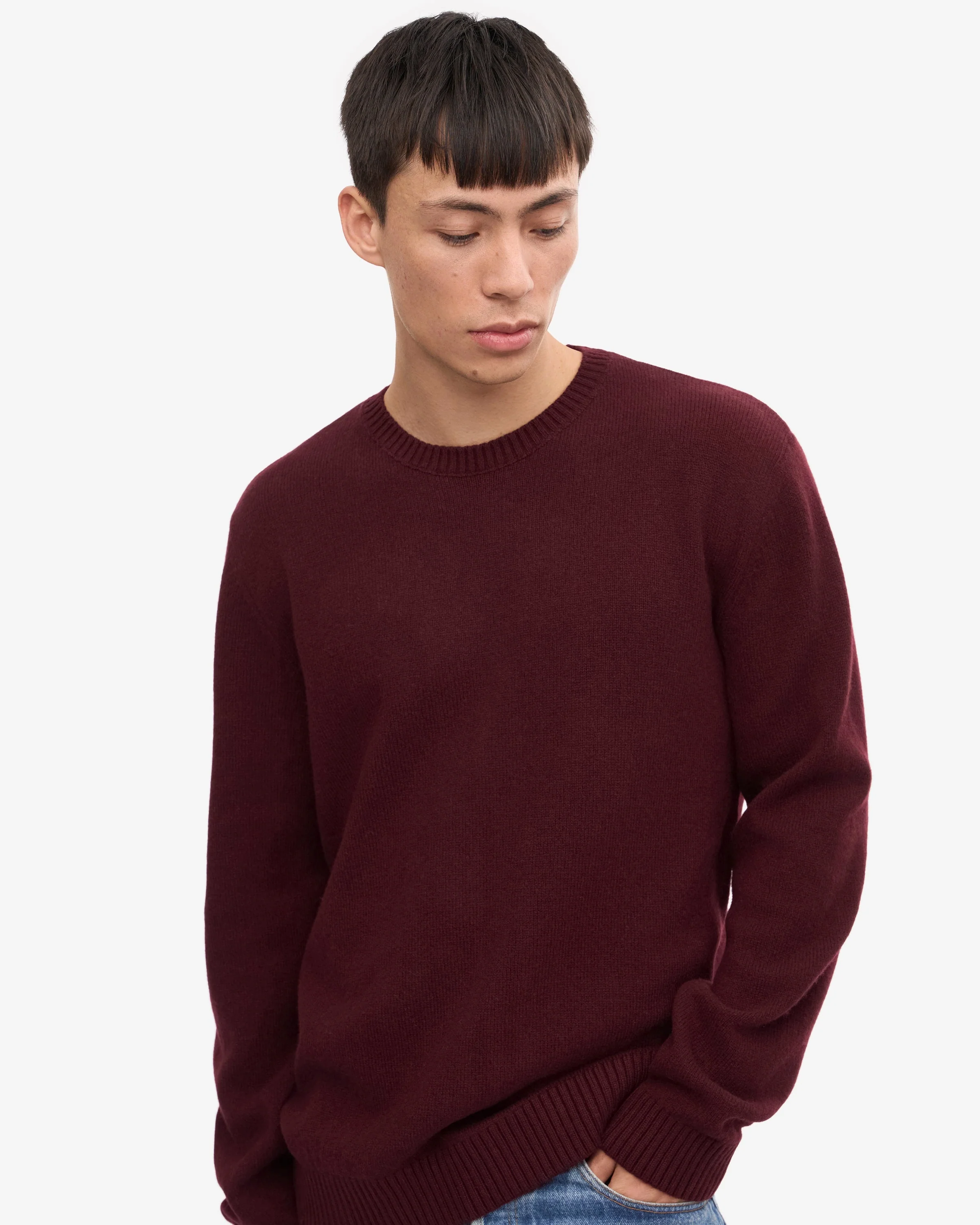 Colorful Standard Classic Merino Wool Crew Neck Jumper - Oxblood Red - Image 2