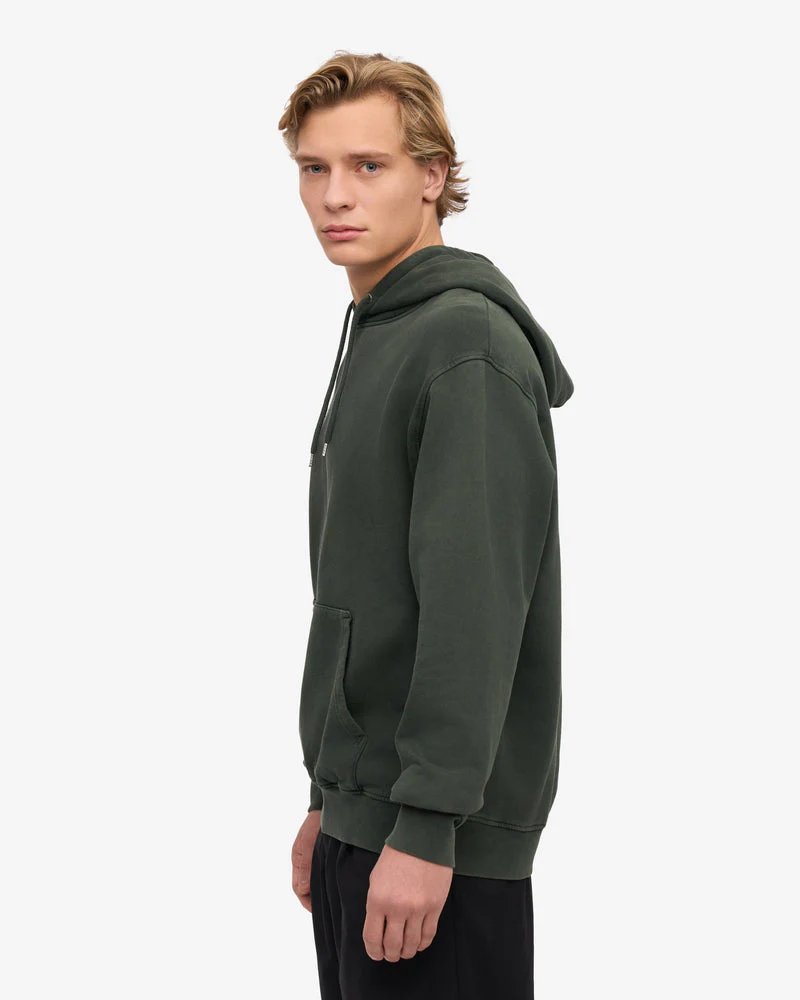 Colorful Standard Classic Organic Hoodie - Midnight Forest - Image 5