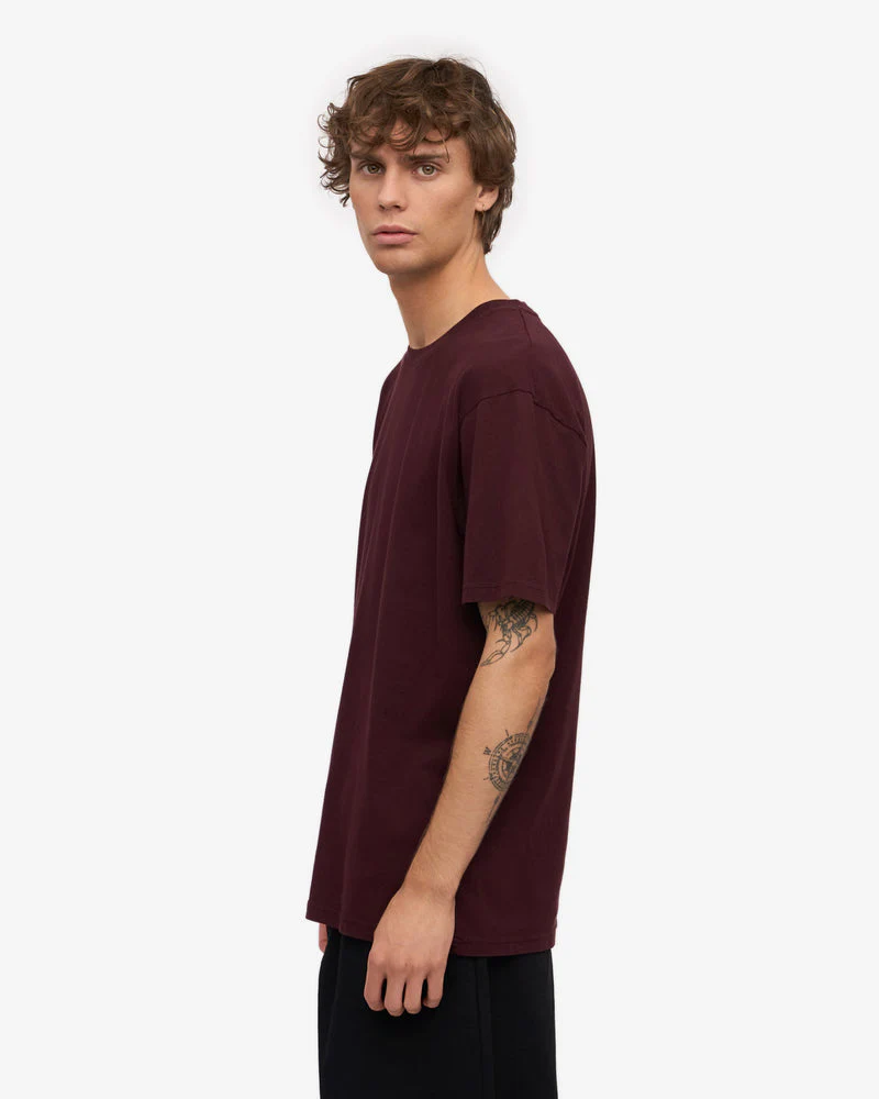 Colorful Standard Classic Organic T-Shirt - Oxblood Red - Image 6