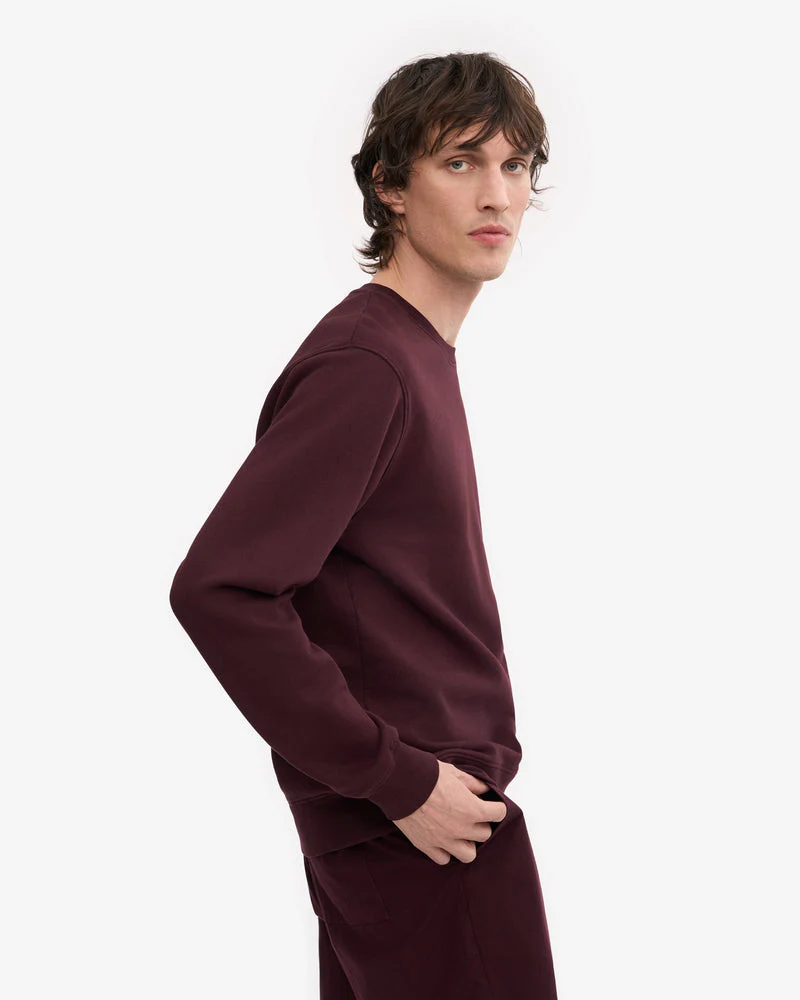 Colorful Standard Mens Classic Organic Crew Neck Sweatshirt - Oxblood Red - Image 2