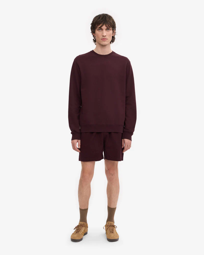 Colorful Standard Mens Classic Organic Crew Neck Sweatshirt - Oxblood Red - Image 3