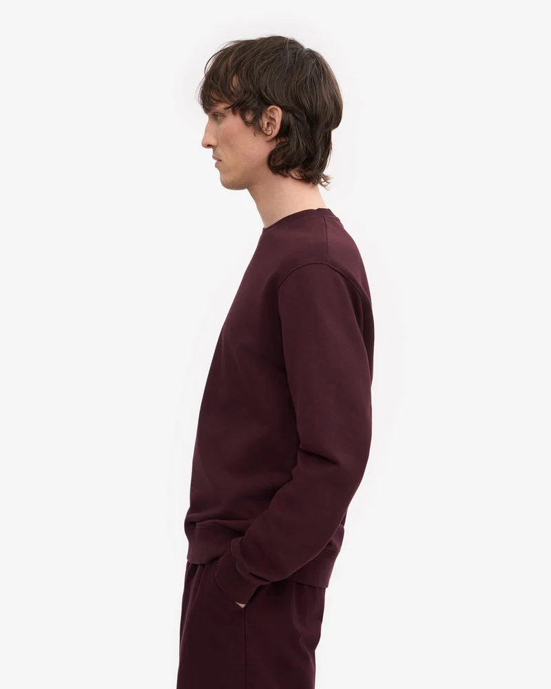 Colorful Standard Mens Classic Organic Crew Neck Sweatshirt - Oxblood Red - Image 5