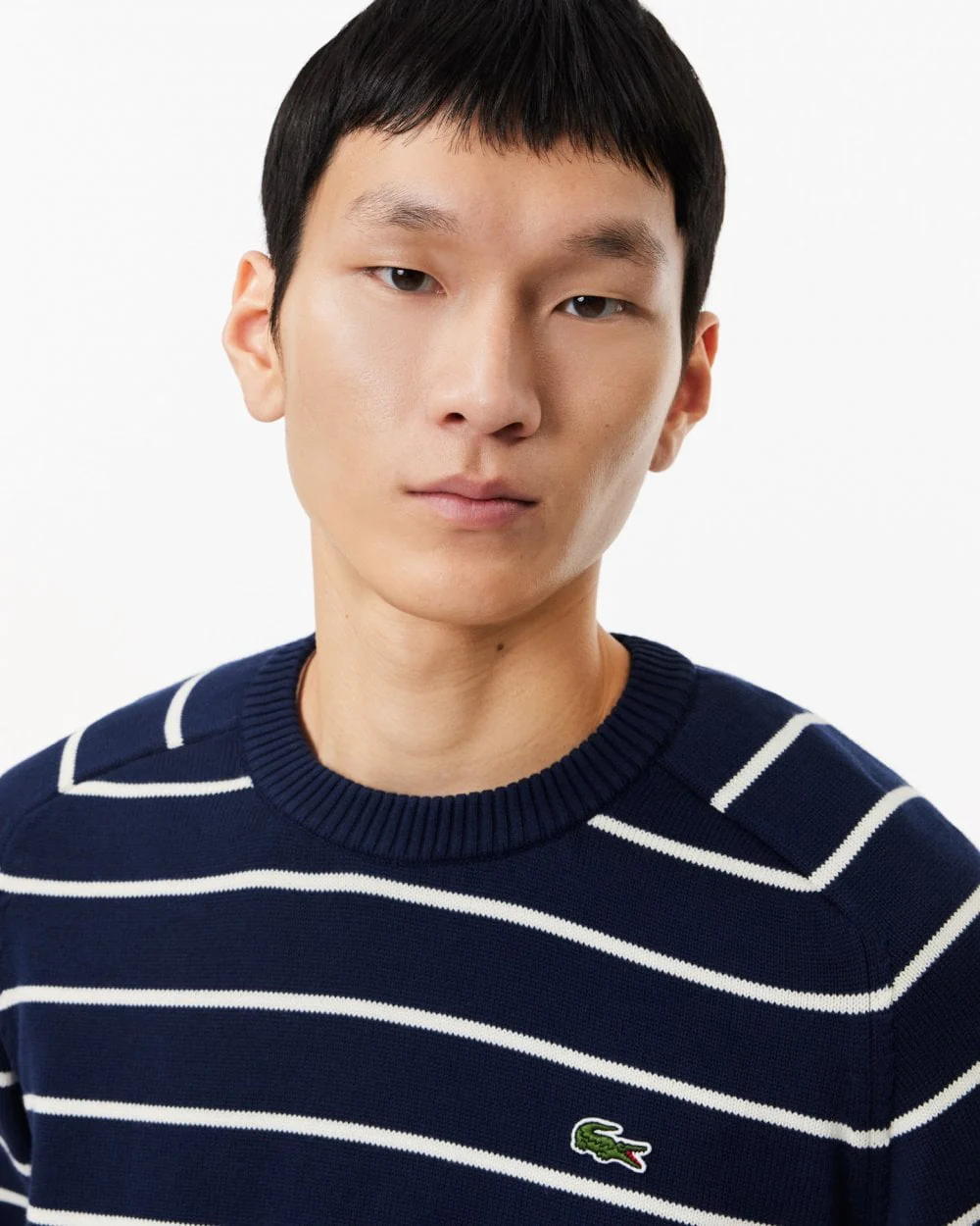 Lacoste Mens Cotton Crew Neck Striped Jumper - Image 2