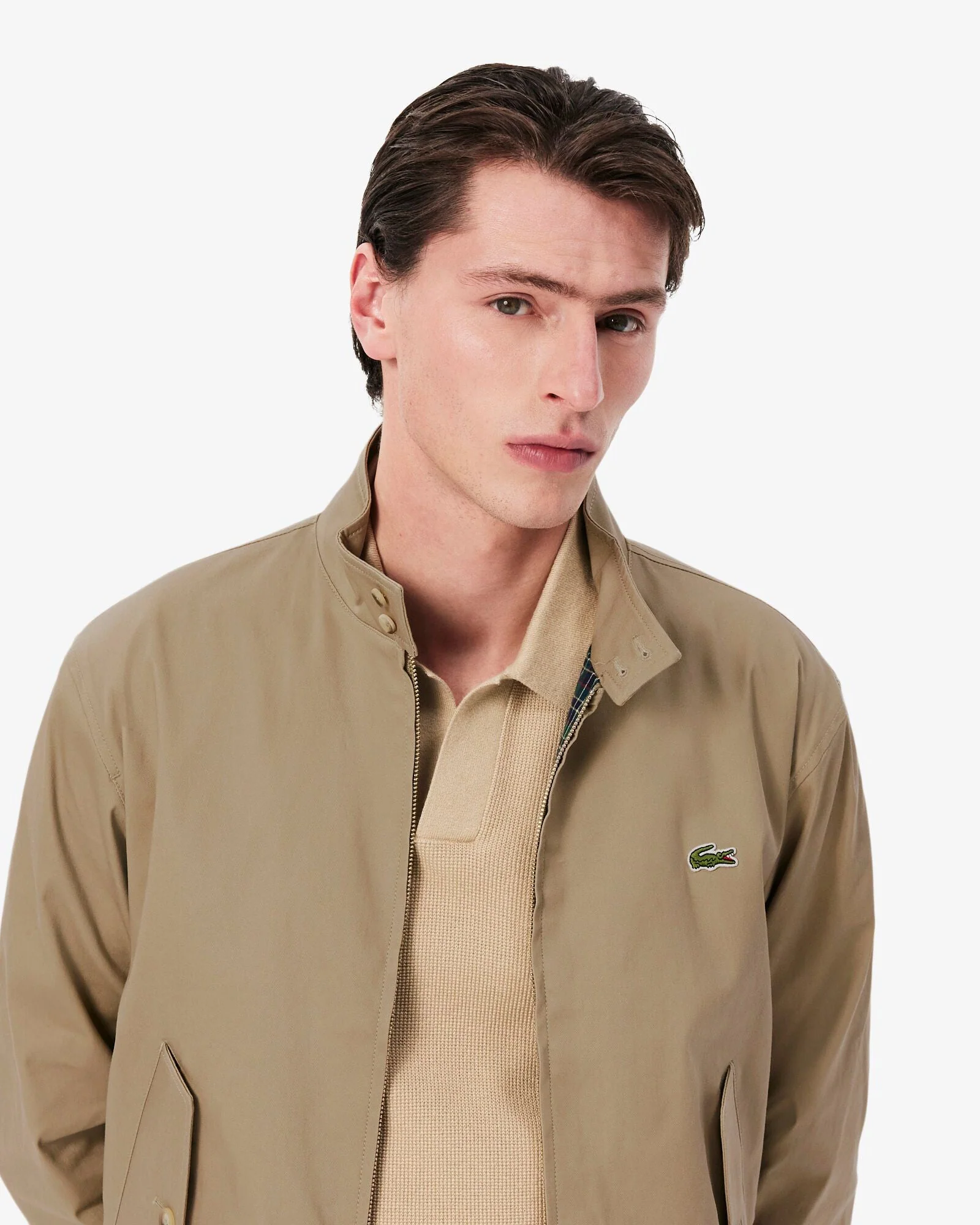Lacoste Mens Showerproof Cotton Twill Harrington Jacket - Lion CB8 - Image 2